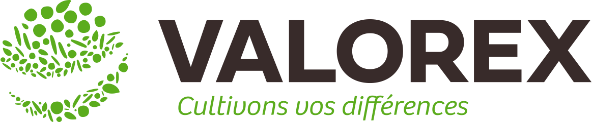 Logo Valorex